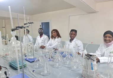 Diploma in Pharmacy