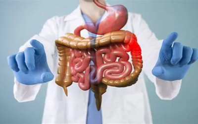 Certificate in Gastroenterology