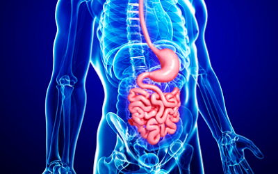 Fellowship in Gastroenterology